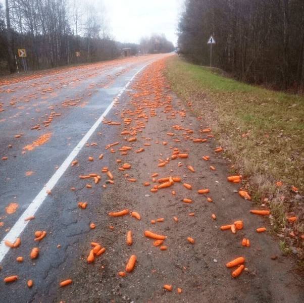 Interesting Finds And Discoveries (16 pics)
