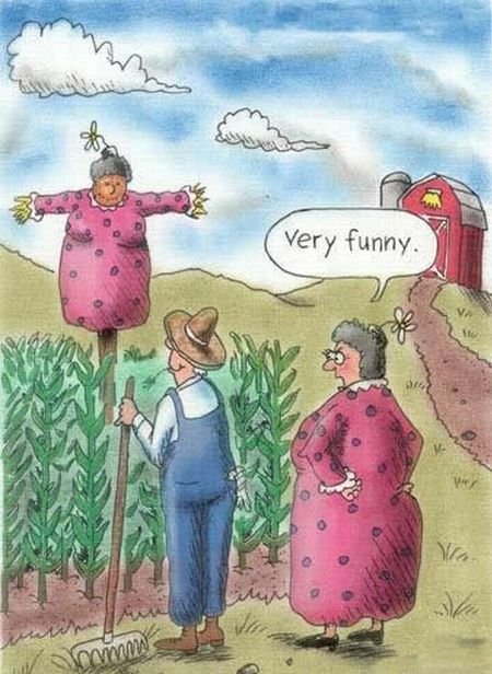 Humorous Comics (38 pics)