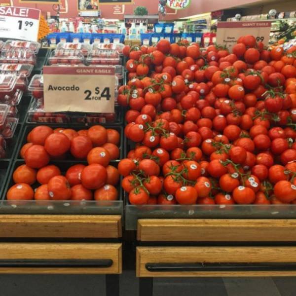 Epic Fails (54 pics)
