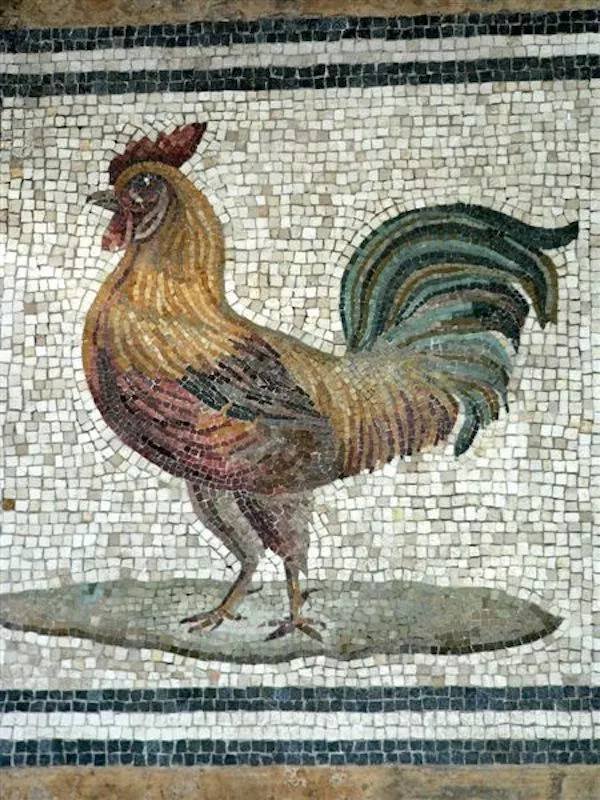 Historical Facts (20 pics)