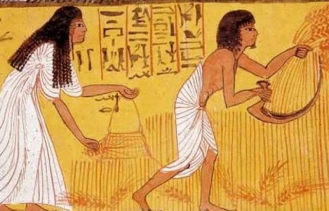 Historical Facts (20 pics)
