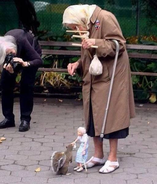 Posts And Photos For A Good Mood (72 pics)