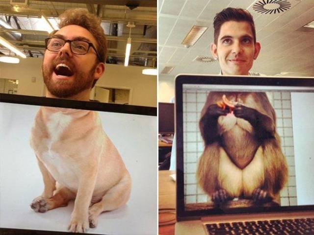 Posts And Photos For A Good Mood (72 pics)
