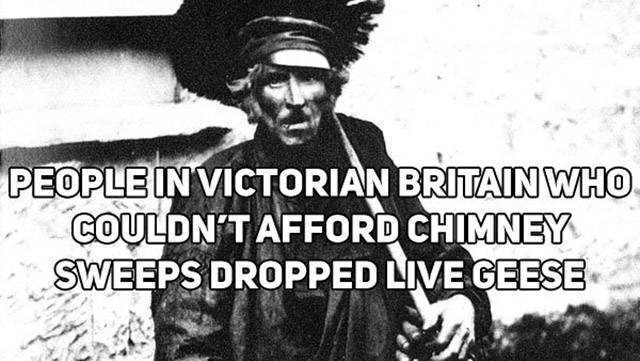 Interesting Facts About Britain (18 pics)