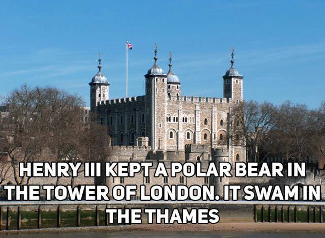 Interesting Facts About Britain (18 pics)