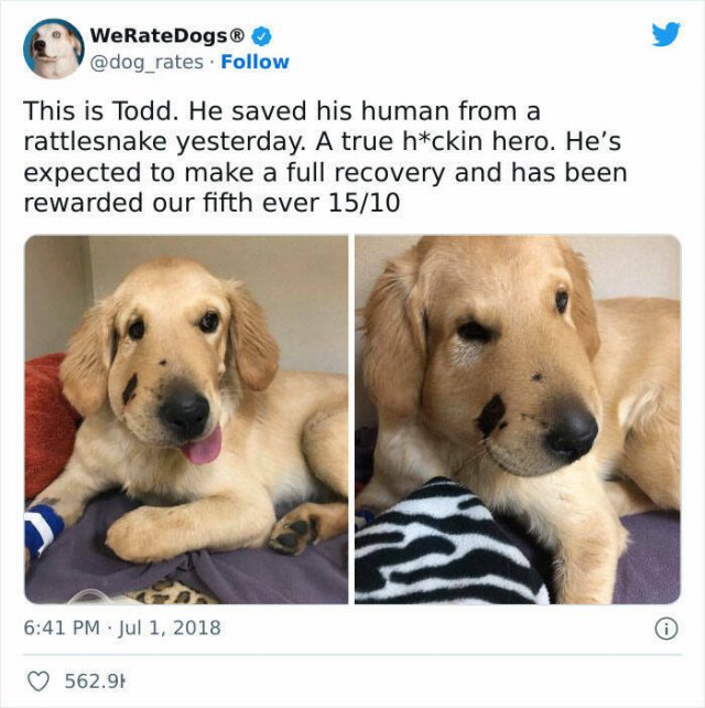 Kind Deeds And Stories (18 pics) Kind Deeds And Stories (18 pics)