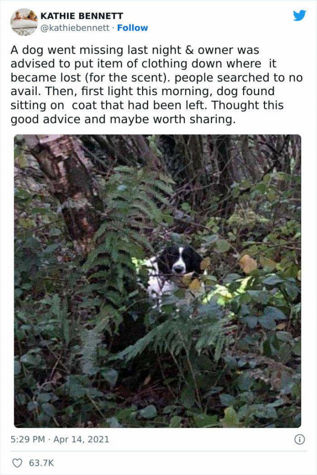 Kind Deeds And Stories (18 pics) Kind Deeds And Stories (18 pics)