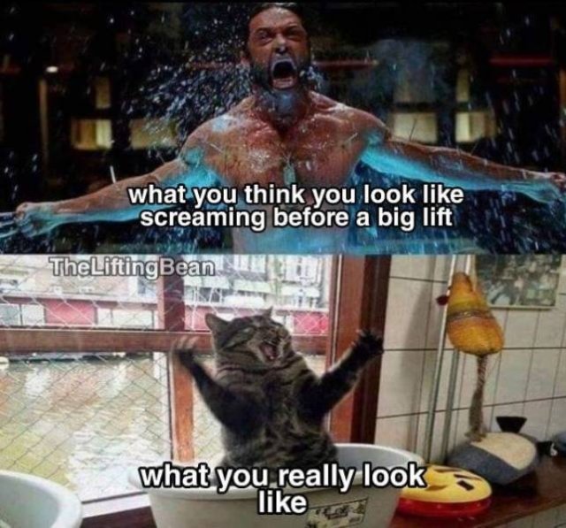 Sport And Diet Memes (38 pics)