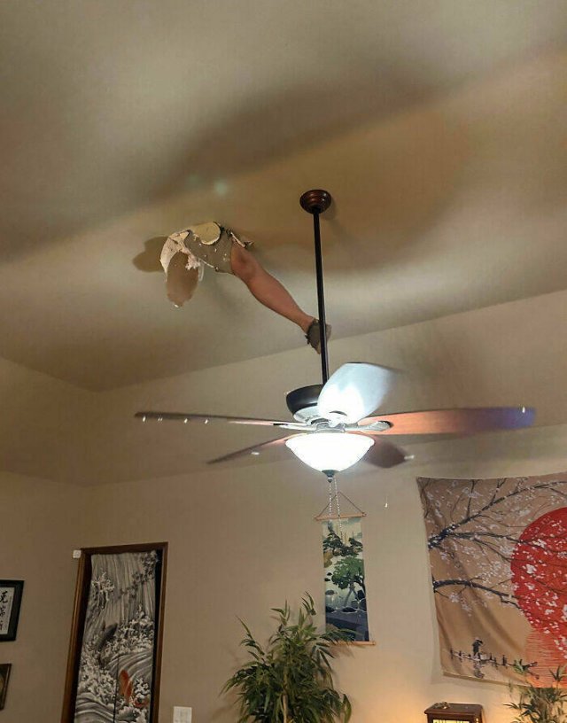 Failed Home Renovation (25 pics)