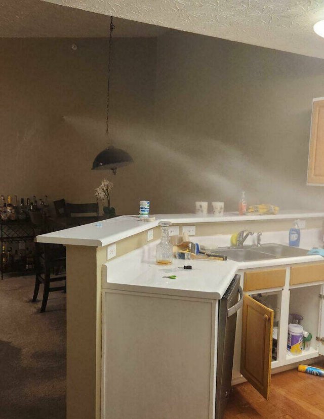 Failed Home Renovation (25 pics)