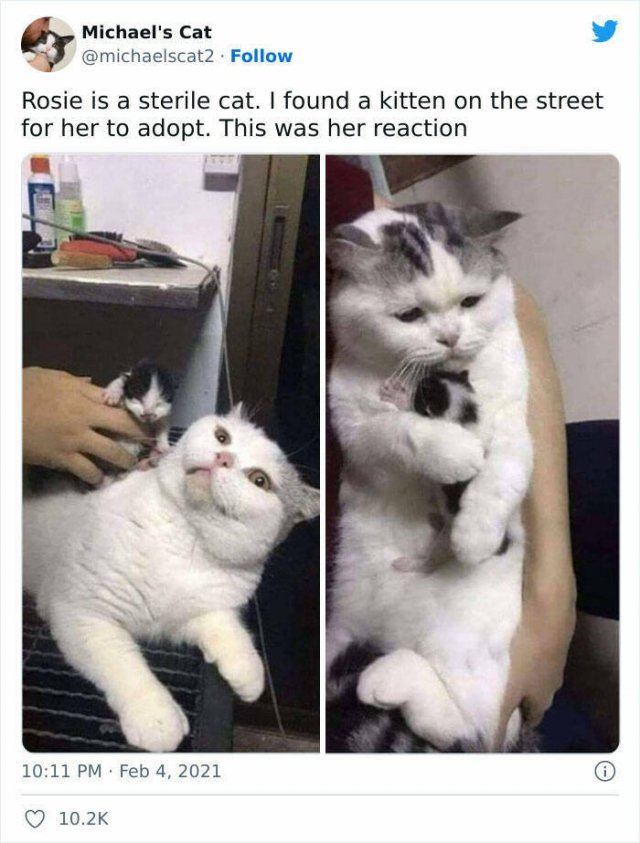 Kind Deeds And Stories (18 pics) Kind Deeds And Stories (18 pics)
