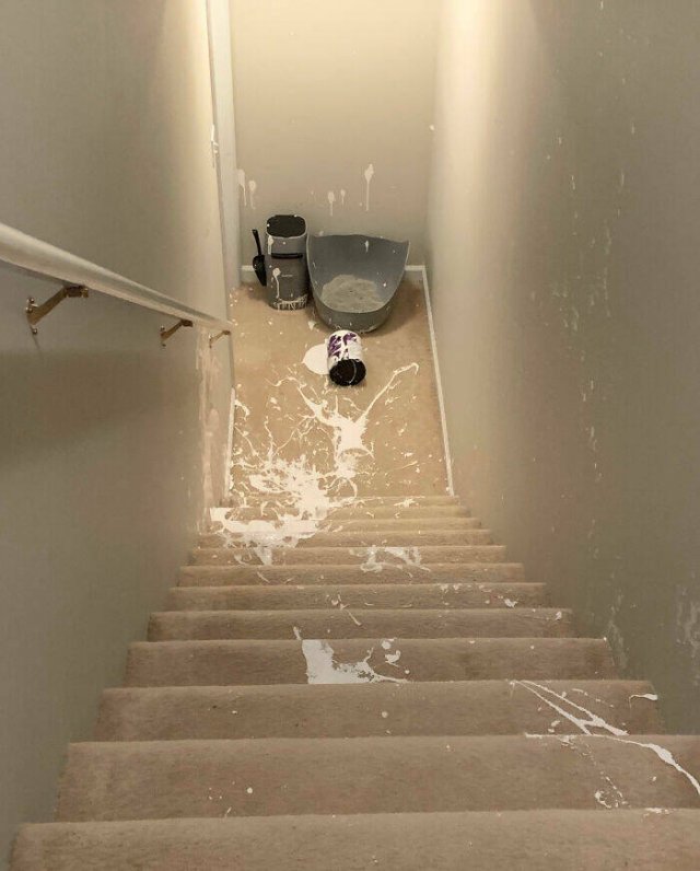 Failed Home Renovation (25 pics)