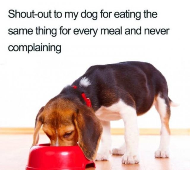 Sport And Diet Memes (38 pics)