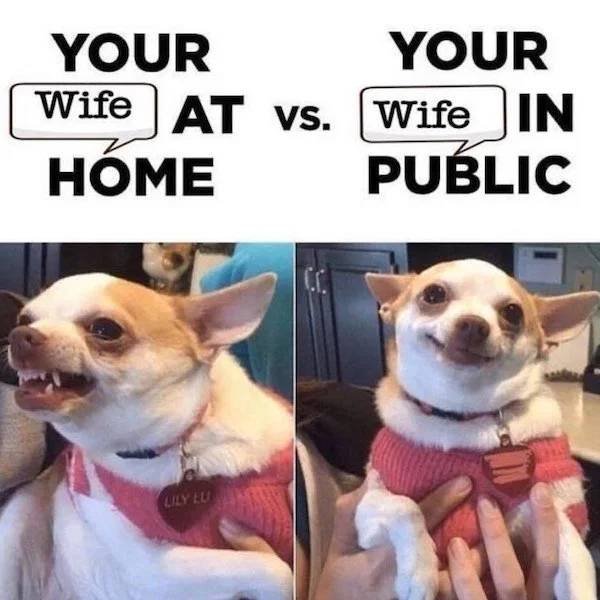 Memes About Marriage And Relationships (32 pics)
