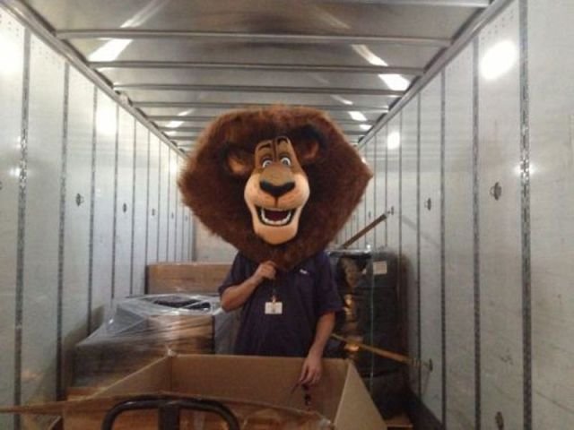 Funny Workplace Photos (46 pics)