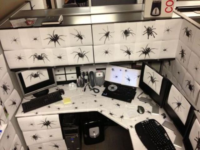 Funny Workplace Photos (46 pics)