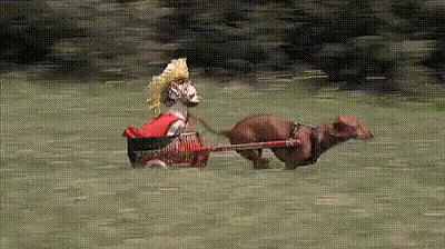 Random Facts (15 gifs)