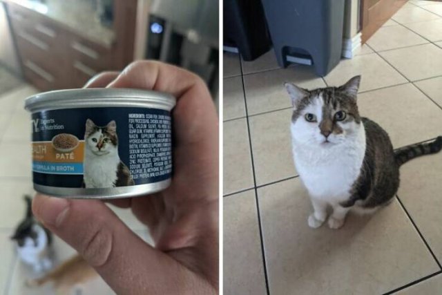 Unexpected Coincidences (20 pics)