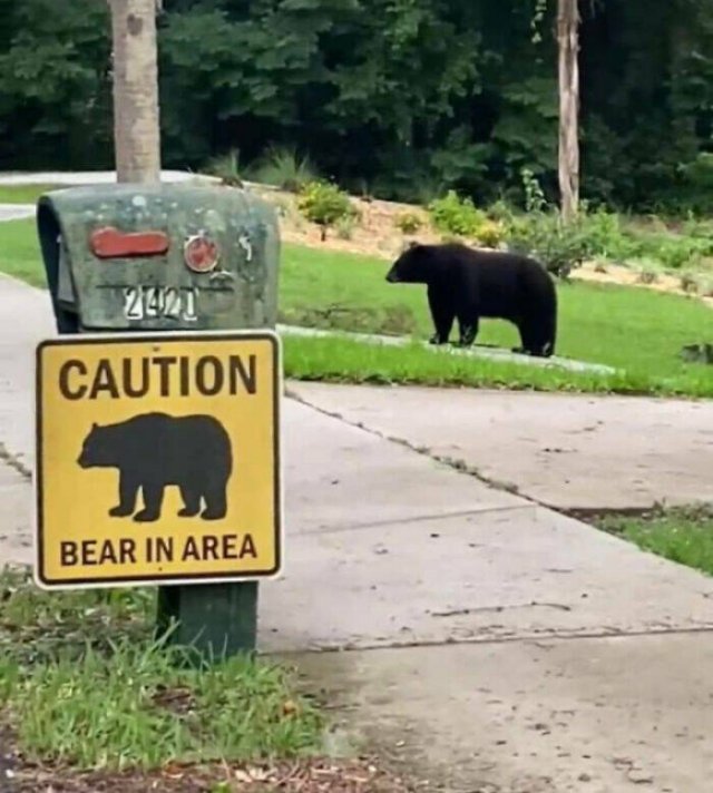 Unexpected Coincidences (20 pics)