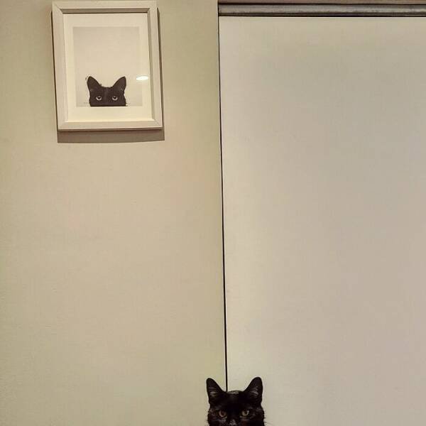 Unexpected Coincidences (20 pics)