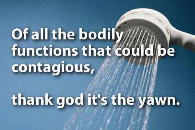 Odd Thoughts (20 pics)