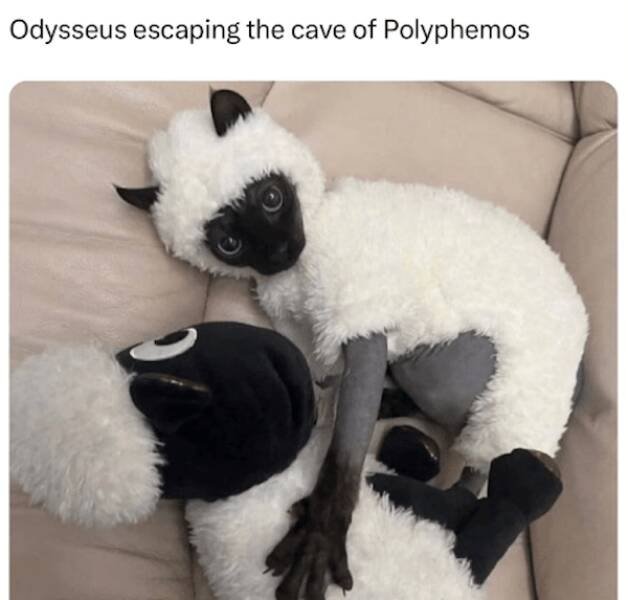 Greek Mythology Memes (28 pics)