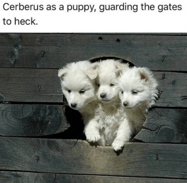 Greek Mythology Memes (28 pics)