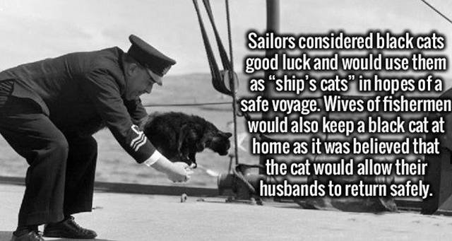 Interesting Facts (37 pics)