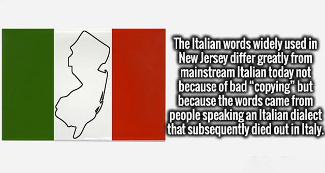 Interesting Facts (37 pics)