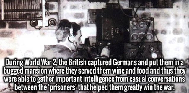 Interesting Facts (37 pics)