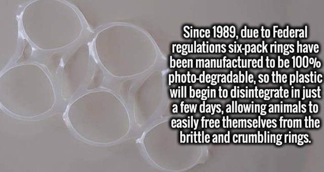 Interesting Facts (37 pics)