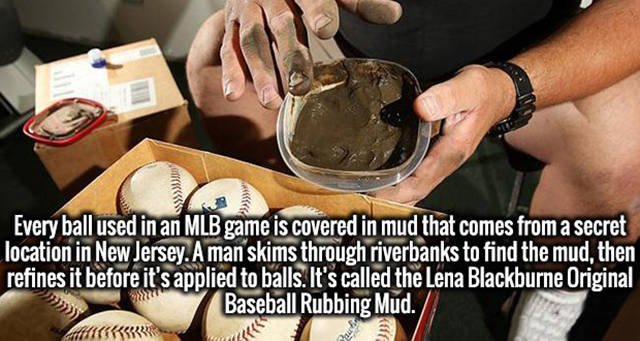 Interesting Facts (37 pics)