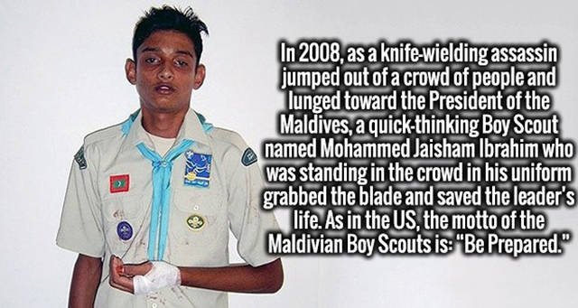 Interesting Facts (37 pics)