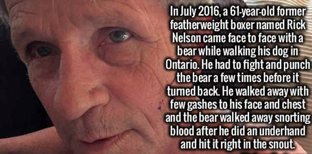 Interesting Facts (37 pics)