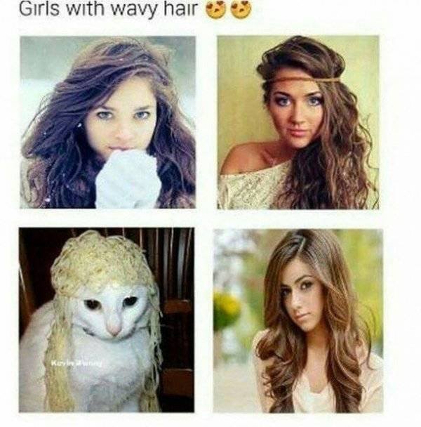 Funny Memes (44 pics) Funny Memes (44 pics)