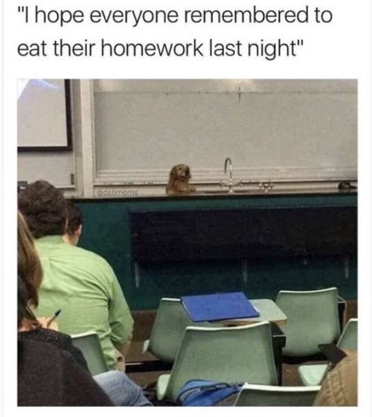Funny Memes (44 pics) Funny Memes (44 pics)