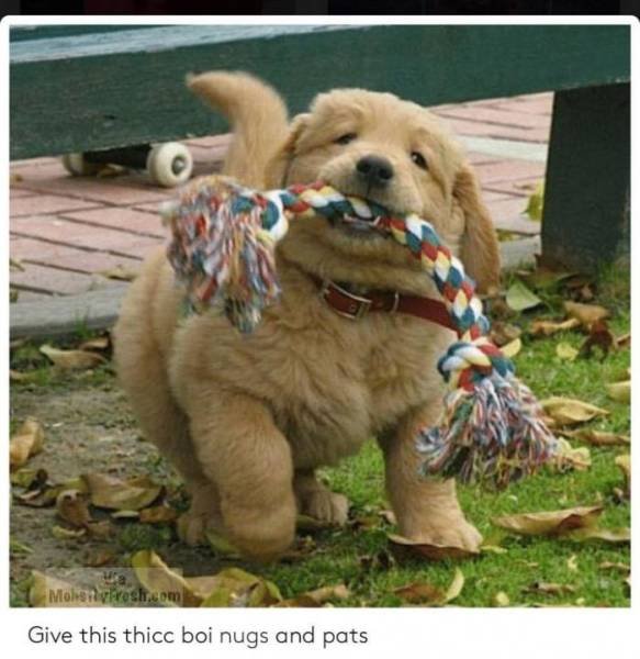 Funny Memes (44 pics) Funny Memes (44 pics)