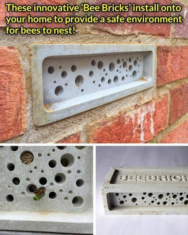 Useful Inventions (19 pics)