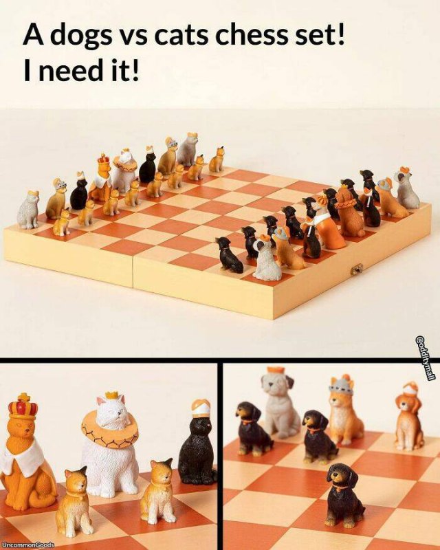 Useful Inventions (19 pics)