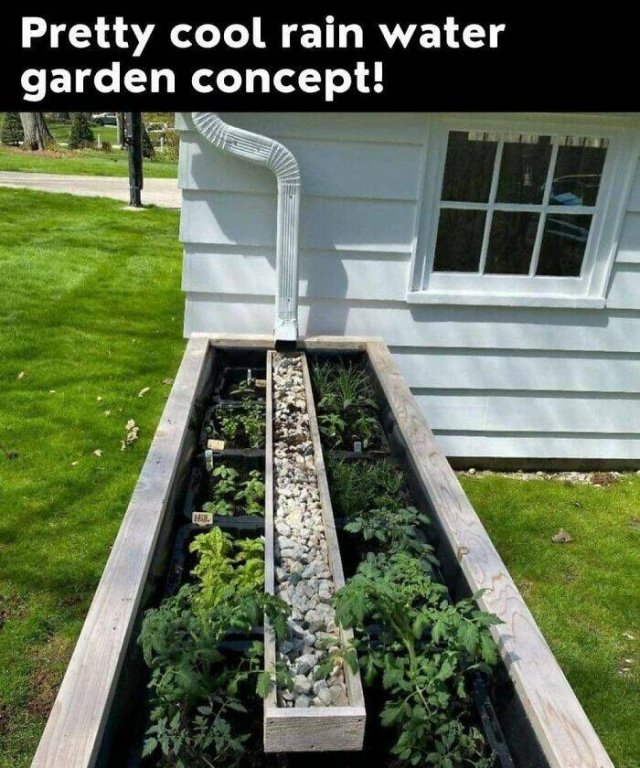 Useful Inventions (19 pics)