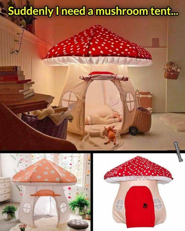 Useful Inventions (19 pics)