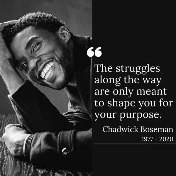 Wise Thoughts (25 pics)