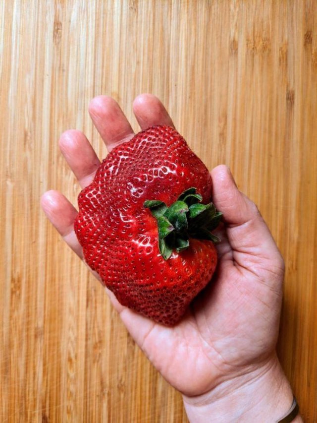 Interesting Finds And Discoveries (49 pics)
