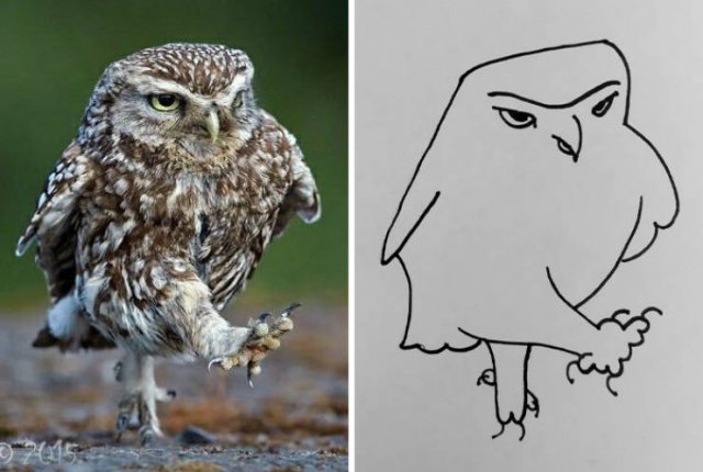 Funny But Poorly Drawn Animals (37 pics) Funny But Poorly Drawn Animals (37 pics)