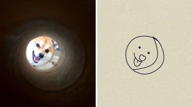 Funny But Poorly Drawn Animals (37 pics) Funny But Poorly Drawn Animals (37 pics)