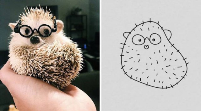 Funny But Poorly Drawn Animals (37 pics) Funny But Poorly Drawn Animals (37 pics)