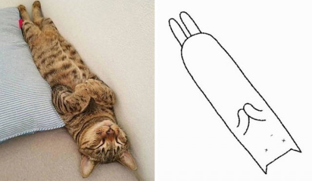 Funny But Poorly Drawn Animals (37 pics) Funny But Poorly Drawn Animals (37 pics)