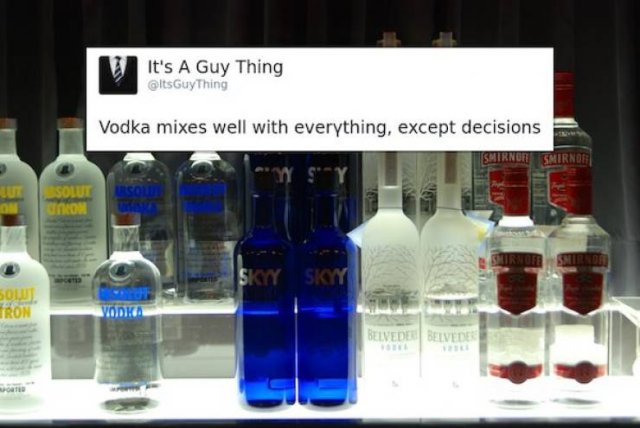 Memes About Alcohol (27 pics)