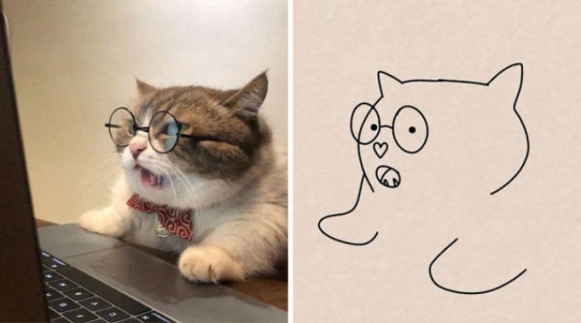 Funny But Poorly Drawn Animals (37 pics) Funny But Poorly Drawn Animals (37 pics)