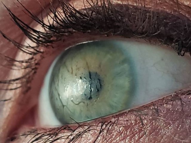 Interesting Finds And Discoveries (49 pics)
